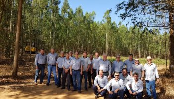 Reflorestamento em Moreira Sales 