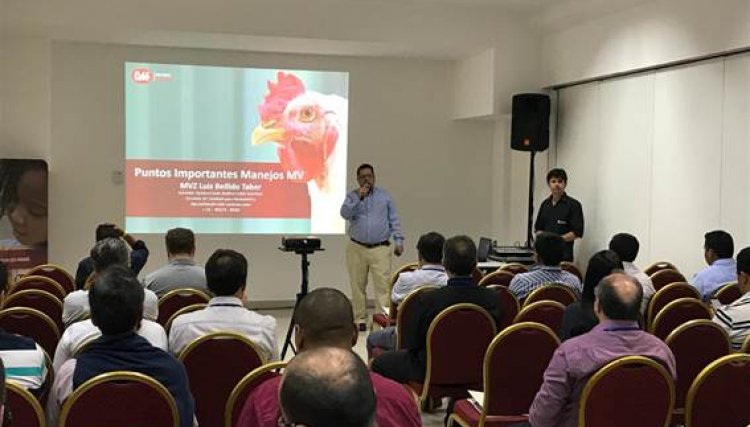 Cobb-Vantress promove coquetel e palestras no
<br/>12º Simpósio Técnico da ACAV
<br/>