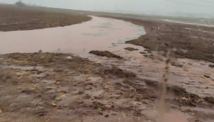 Produtores de Nova Aurora registram 260 milímetros de chuva, até às 11 horas de hoje, veja o vídeo 