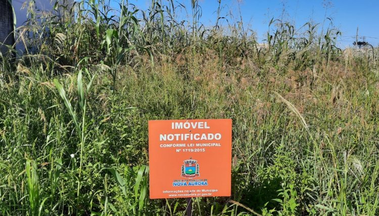 Nova Aurora começa a notificar donos de terrenos vazios com mato e lixo 