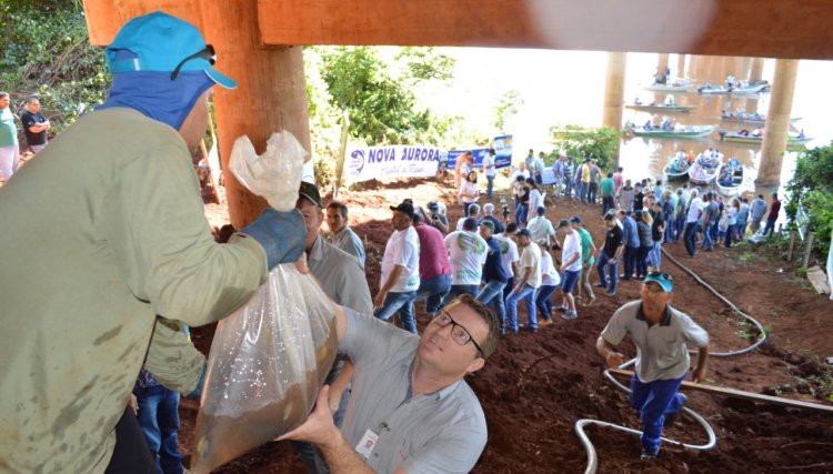 Copacol participa da soltura de peixes no Rio Piquiri