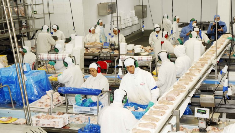 Novas oportunidades de emprego oferecidas pela Copacol