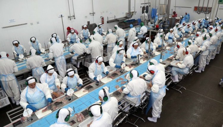 Sintrascoop parabeniza os cooperários pelo Dia do Trabalho