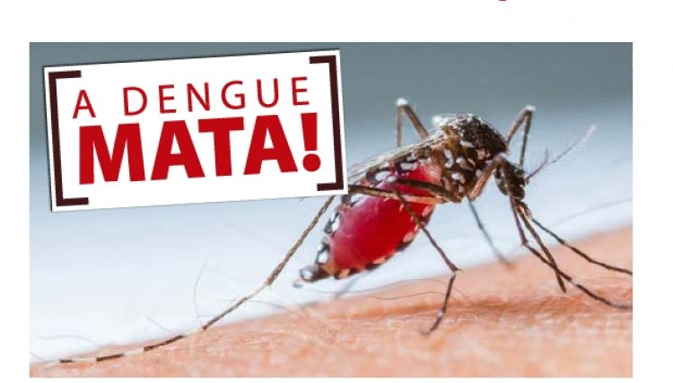 Nova Aurora confirma 14 casos de Dengue neste início de ano