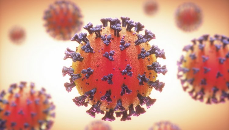 Estudo indica que o coronavírus  evolui no Brasil de forma mais controlada