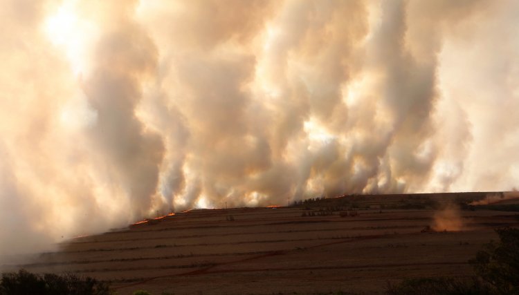 Governador decreta emergência após o registro de mais de 10 mil ocorrências de incêndios no PR, mês de setembro promete ser o mais seco da história