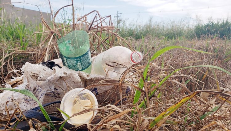 Moradores de Cafelândia se revoltam com lixos e matagais em terrenos no município