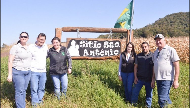 Univel realiza visita técnica em propriedade modelo que produz a Raça Bovina Paranaense Purunã
