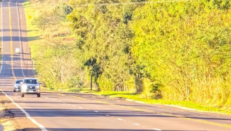Homem é abordado com carro em movimento entre Cafelândia e Cascavel via Central e acaba amarrado e roubado 