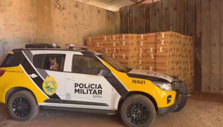Polícia apreende cigarros de contrabando avaliados em R$ 1 milhão em Jesuítas, veja o vídeo 