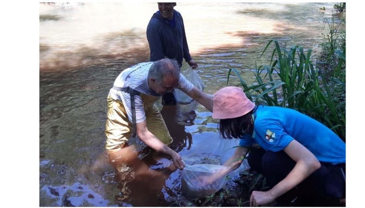 Mananciais de abastecimento de Cascavel recebem novos peixes