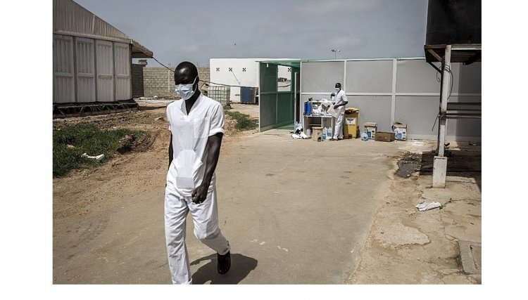 País confirma surto de gripe aviária H5N1 