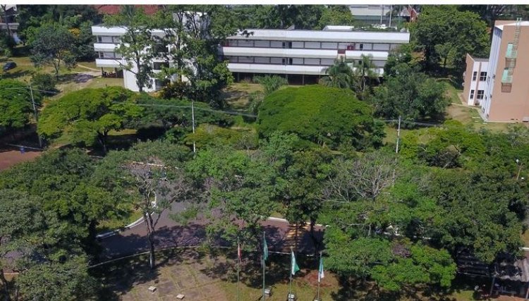 Processo seletivo para contratação de professores temporários é aberto