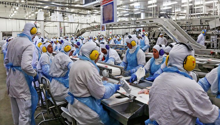 JBS vai contratar 3 mil novos funcionários