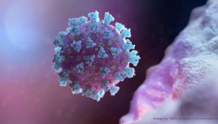 Confira as cidades no topo do risco de uma epidemia no Paraná
