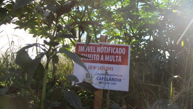 Cafelândia inicia as notificações em lotes sujos