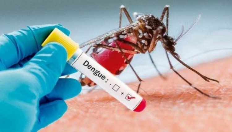 Com 49.464 casos notificados de dengue, PR tem situação de alerta de epidemia