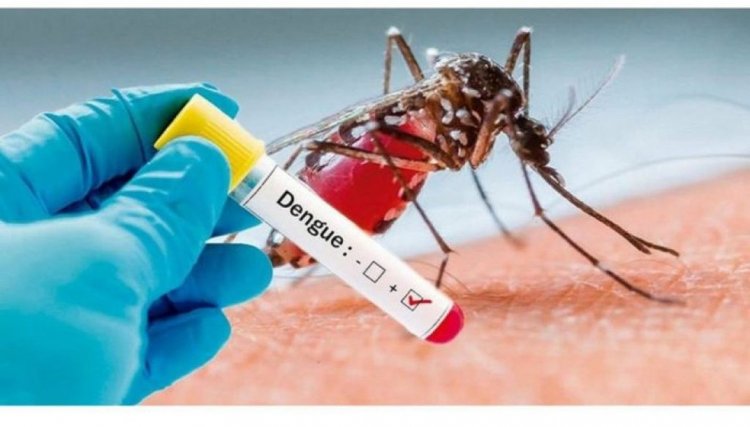 Paraná registra 2 óbitos e 741 casos de dengue em dois meses 