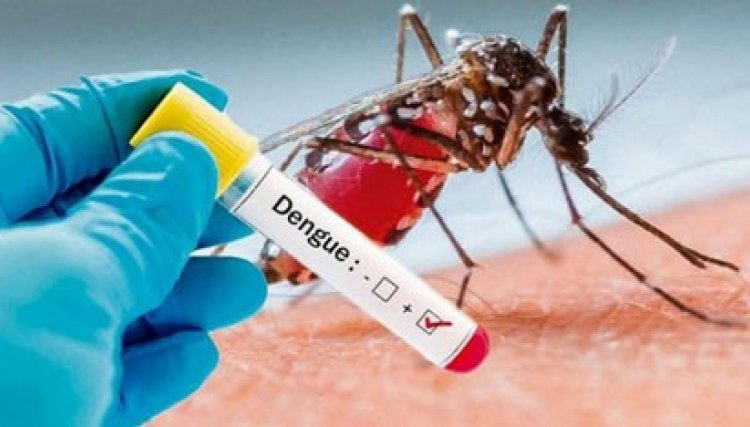 Três novos casos de dengue são confirmados em Assis Chateaubriand