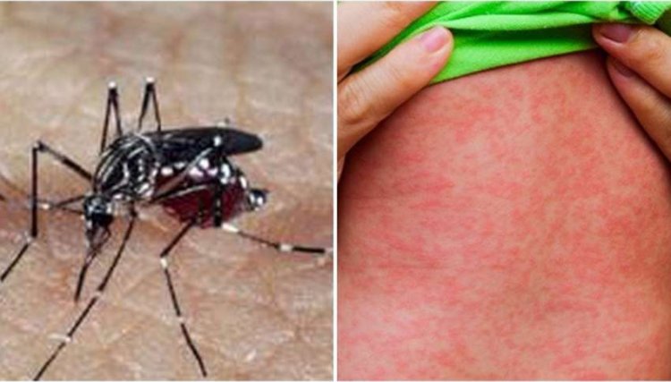 Menino de quatro anos morre com suspeita de dengue no Paraná