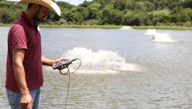 Altas temperaturas gera desafios para os piscicultores da Copacol