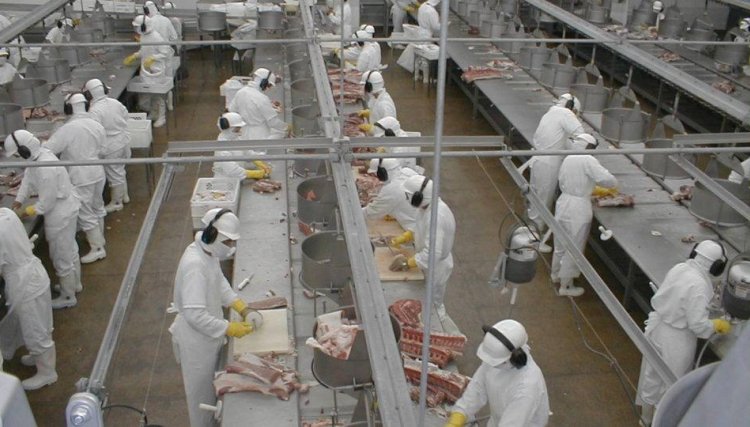Cooperativas do Paraná colaboram para uma safra cheia e estoques para a segurança alimentar diante do coronavírus 