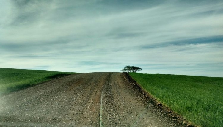 POSSE DE ARMA EM TODA PROPRIEDADE RURAL É SANCIONADA PELO PRESIDENTE