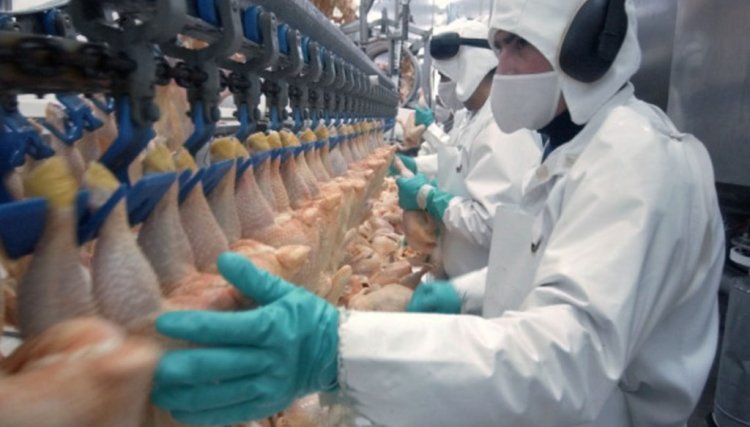 Brasil pede explicações à China sobre frango supostamente contaminado