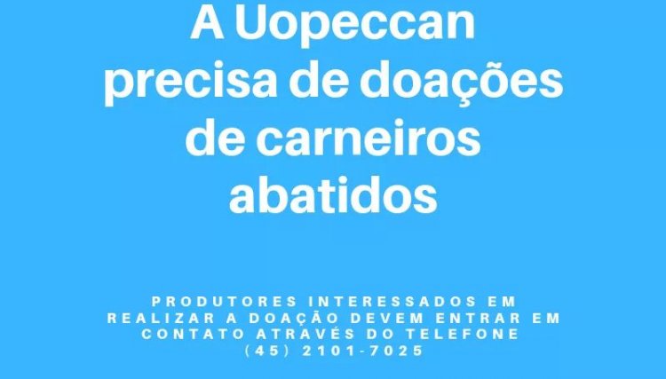 Uopeccan solicita a doação de carneiros 