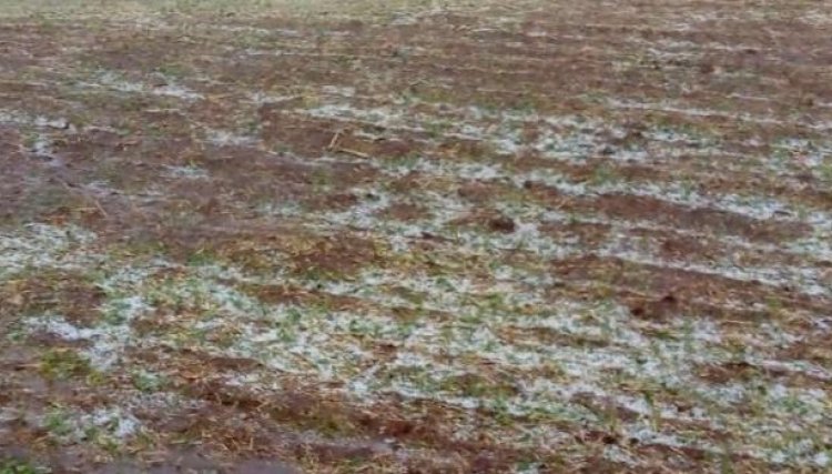 Ubiratã tem plantações destruídas pelo granizo