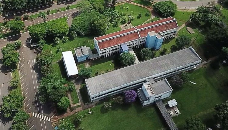 UEL homenageia profissionais da saúde e pacientes curados da Covid