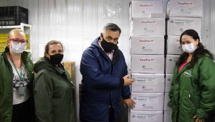 Paraná recebe 95 mil doses da vacina pentavalente 