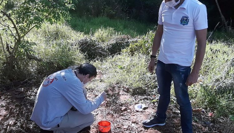 Em menos de um ano Paraná soma 212.074 casos de dengue