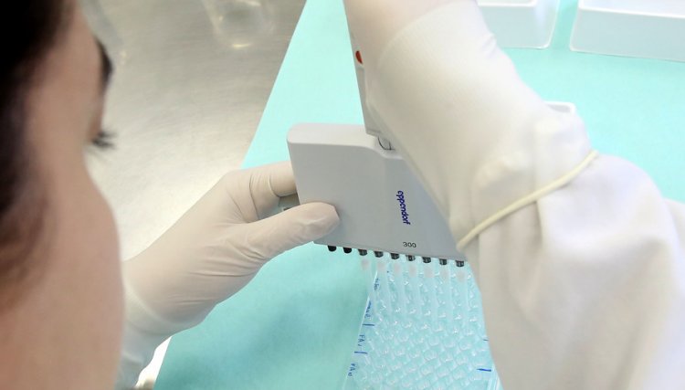 Paraná conta com quatro laboratórios habilitados para ajudar nos testes