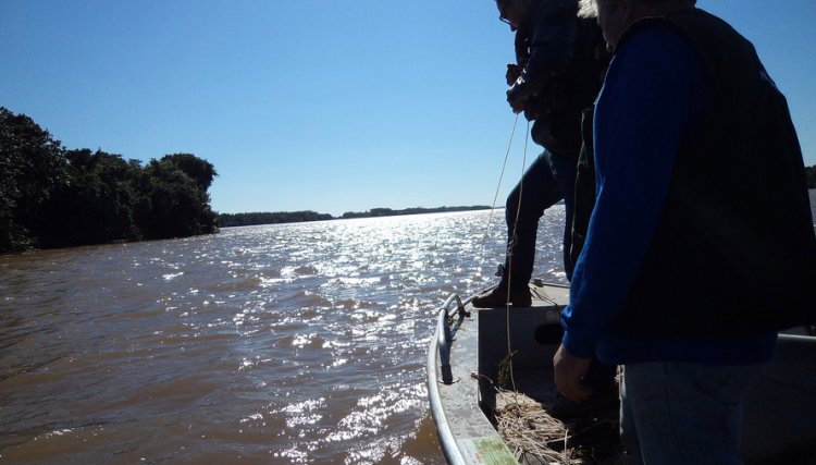Paraná tem período de pesca alterado para as espécies nativas