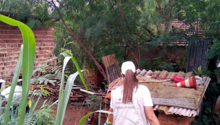PR repassa R$ 1,5 milhão para os municípios combater à dengue
