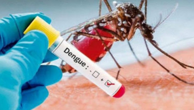 Dengue apresenta sinais de redução de casos no Paraná