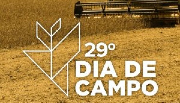 Começa dia 08 o 29º Dia de Campo da Copacol